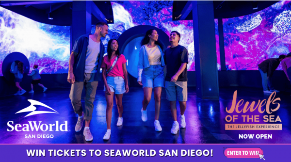 Promo SeaWorld 2025