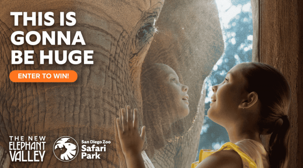 Promo SDZSP ElephantValley2